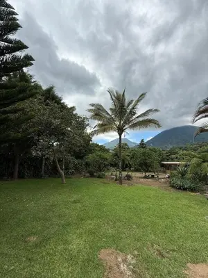 a green yard with palm trees and mountains in the background at Villa San Carlos in Juayúa