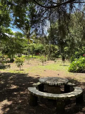 a stone bench sitting in the middle of a park at Villa San Carlos in Juayúa