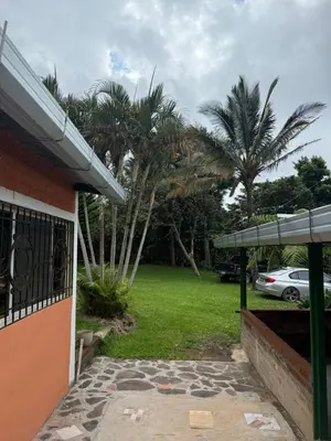 a house with a yard with palm trees and a car at Villa San Carlos in Juayúa