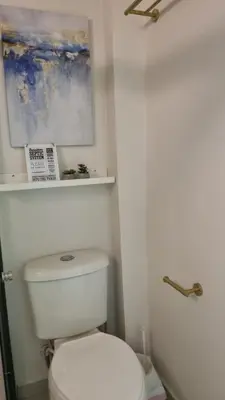 a bathroom with a toilet and a painting on the wall at Cozy House! San Miguel in San Miguel