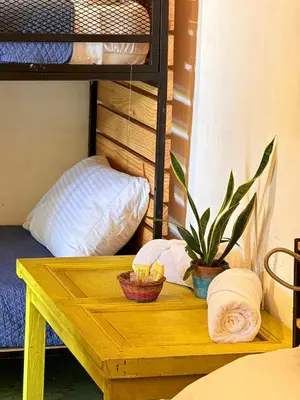 a wooden table with a plant and a bunk bed at Casa FLamenco Suchitoto in Suchitoto