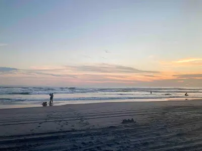 a person and a dog on the beach at sunset at Oceanfront Solar Paradise-Steps to the Sea in El Zapote