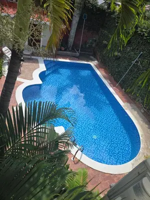 a blue swimming pool with a palm tree next to it at Mi Tierra Escalón Hotel y Restaurante in San Salvador