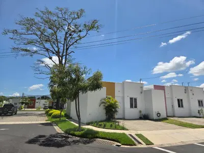a building with a tree next to a street at Vista a los Volcanes in Santa Ana