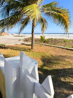 a white sculpture in front of a beach with a palm tree at Villa Vallarta Costa del Sol in Marcelino