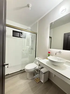 a bathroom with a sink and a toilet and a mirror at Luxury Cozy Home in San Miguel