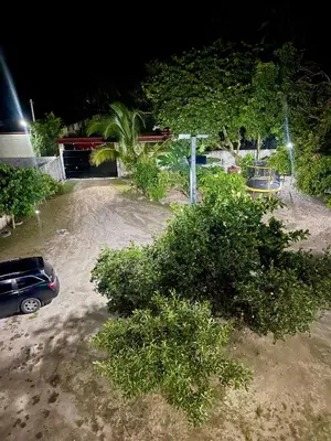 a car parked in a parking lot with bushes at Evolution Home in Las Flores