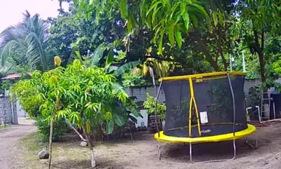 a yellow and black trampoline in a yard at Evolution Home in Las Flores