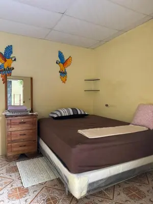 a bedroom with a bed with birds on the wall at Relax House in Sonsonate
