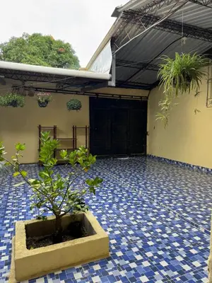a courtyard with a potted plant on a tile floor at Relax House in Sonsonate