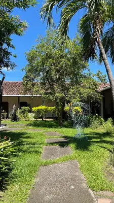 a walkway in front of a house with palm trees at Hostal Casa del Sol Apartamento in Suchitoto