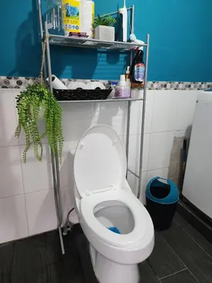 a bathroom with a white toilet and a plant at Casa campo Morales in Apopa
