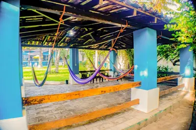 a couple of purple hammocks in a park at Rancho Mayayi Beach house in San Miguel