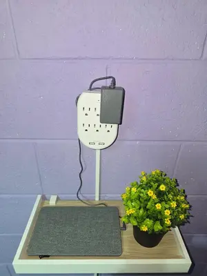 a table with a box and two plants on it at the best private apartmet in santa ana for your trip with excelente location in Santa Ana