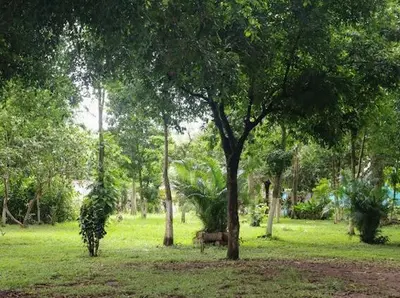 a park with a tree and a cow in the grass at Casa Veraneras in Santa Ana