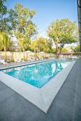 a swimming pool with chairs and trees in the background at Suite sencilla