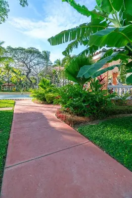 a sidewalk in a park with trees and plants at Suite sencilla