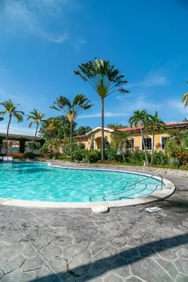 a swimming pool with palm trees and a building at Suite sencilla