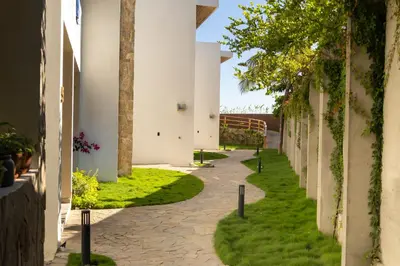 an alley between two buildings with grass and trees at 2Surf Sunzal in El Sunzal