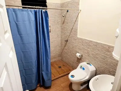 a bathroom with a blue shower curtain and a toilet at House Moma