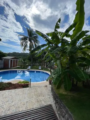 a palm tree next to a swimming pool at Casa de Playa en Atami, La Libertad, El Salvador in El Zonte