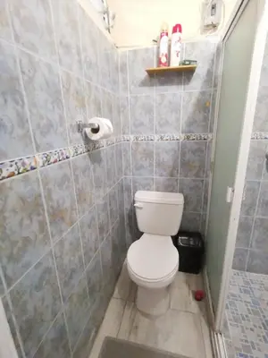 a small bathroom with a toilet and a shower at Casa céntrica en zona privada in Las Delicias
