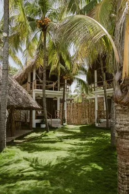 a house with palm trees in front of it at hotel nativo san blas in Playa San Blas