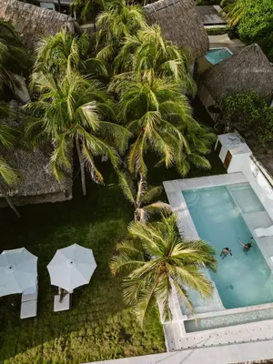 an overhead view of a swimming pool with palm trees and umbrellas at hotel nativo san blas in Playa San Blas