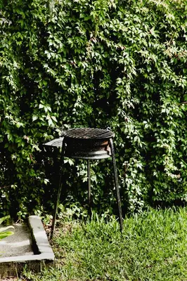 a chair sitting in the grass in front of a hedge at Villa Palmarcito in El Zonte