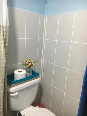 a bathroom with a toilet with a vase of flowers at Los Poca, Entire Home near Stadiums & Malls, San Salvador in San Salvador
