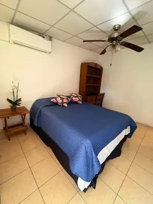 a bedroom with a blue bed and a ceiling fan at Hostal Proceres in San Salvador