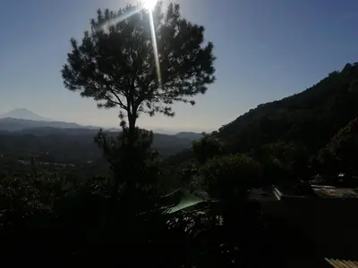 a tree on a hill with the sun shining on it at Cabañas y café Kauani