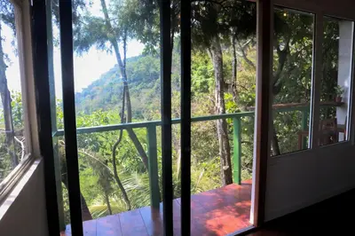 a room with a view of the forest from a window at Cabañas y café Kauani