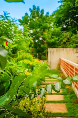 a path in a garden with green plants at Casa Las Flores in El Cuco