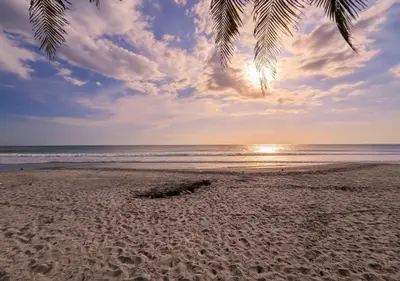 a beach with a palm tree and the ocean at Quinta Hojas de Mar - Frente al Mar en Playa Las Hojas in El Rosario