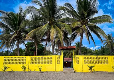 two palm trees behind a yellow fence on the beach at Quinta Hojas de Mar - Frente al Mar en Playa Las Hojas in El Rosario