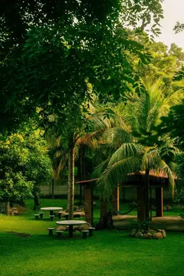 a park with a picnic table and two palm trees at Hotel Castillo Blanco in El Zonte