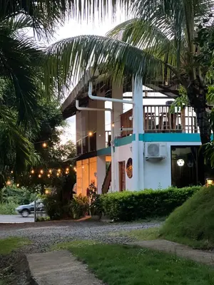 a building with a palm tree in front of it at Mar Adentro San Blas in Playa San Blas