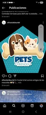 a poster for pets benefits with a dog and a cat at El hostal de Uriel in Izalco