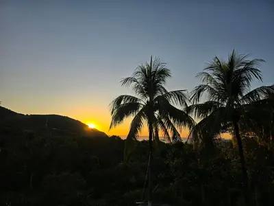 two palm trees with the sunset in the background at 4 Amigos El Zonte in ChiltiupÃ¡n