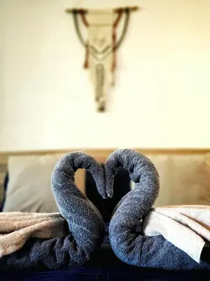 two snakes forming a heart on a bed at 4 Amigos El Zonte in ChiltiupÃ¡n