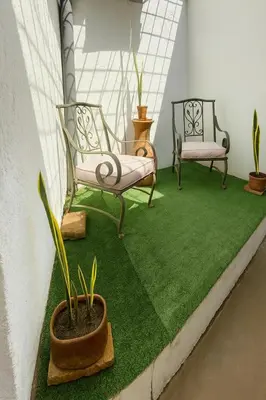 two chairs and a potted plant on a green carpet at Apto en Santa Ana con AC in Santa Ana