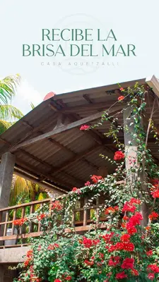 a bunch of red flowers in front of a building at Casa Aquetzalli in San Salvador