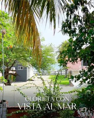 a view from the garden of a villa with a palm tree at Casa Aquetzalli in San Salvador