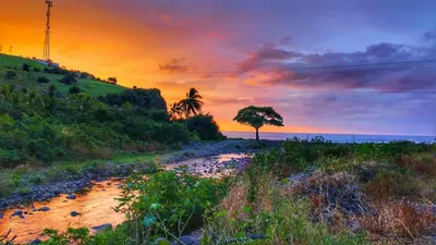 a sunset over a beach with a tree and the ocean at Sea Garden Mizata in Las Piedras