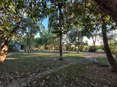 a group of trees in a field with a house at Cabaña en el campo