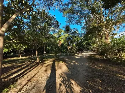a dirt road with trees on either side at Cabaña en el campo