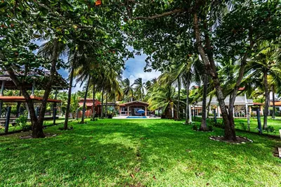 a park with palm trees and a house at Rancho San Jose - Barra De Santiago in Barra de Santiago