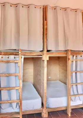a group of bunk beds in a room at The Salty Dogs in Playa San Blas