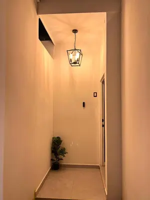 a hallway with a potted plant and a light fixture at Home Sweet Home in San Miguel